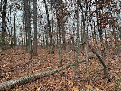 TBD Dogwood, Tull, AR 72015 - photo 4