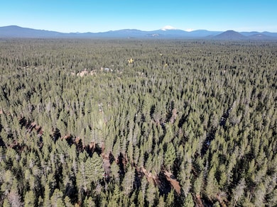 6-web-or-mls-15690 Cornell Road-6