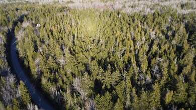 DJI_0644