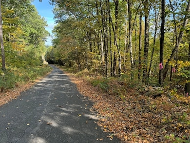 29, 31, 33 Ladd Rd, Sturbridge, MA 01566 - photo 2