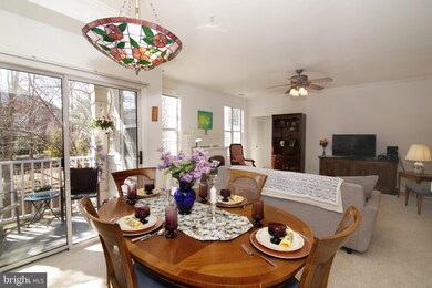 2331 Henshaw Place unit 101, Alexandria, VA 22311 - photo 7