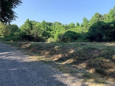 7721 Walters Chapel Rd, Carlisle, AR 72024 - photo 4