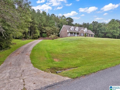 3736 Tidwell Hollow Rd, Oneonta, AL 35121 - photo 5