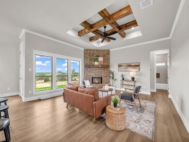 1036 Bermes Ct, Brock, TX 76087 - photo 3