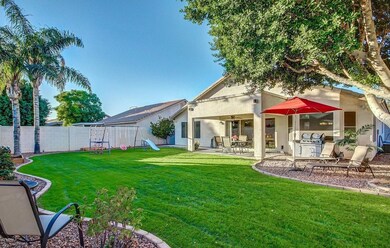 Lush Lawn in the Back Yard