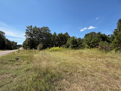 4915 Farm To Market 227, Grapeland, TX 75844 - photo 3