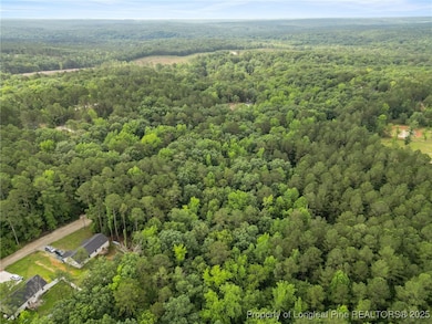 27 Chartres St, Fuquay-Varina, NC 27526 - photo 6