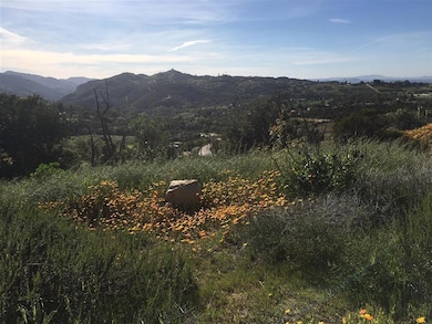 0 Paymaster Rd, Valley Center, CA 92082 - photo 6