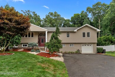 2-web-or-mls-DSC09668