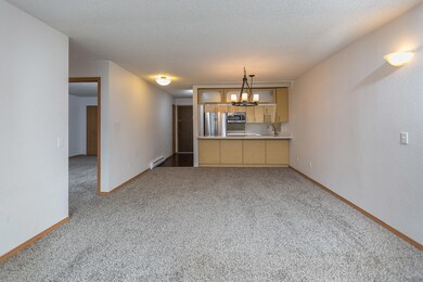 4-living-kitchen-entry