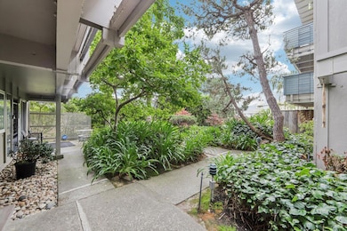 290 Via Casitas unit 206, Greenbrae, CA 94904 - photo 4