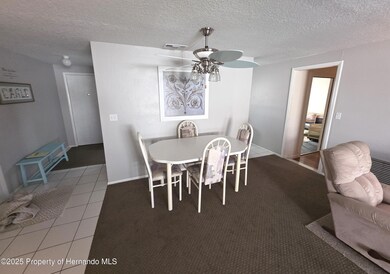 6351 Sutherland Ave, New Port Richey, FL 34653 - photo 7