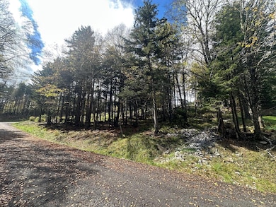 17 First Tracts Blvd, Snowshoe, WV 26209 - photo 7