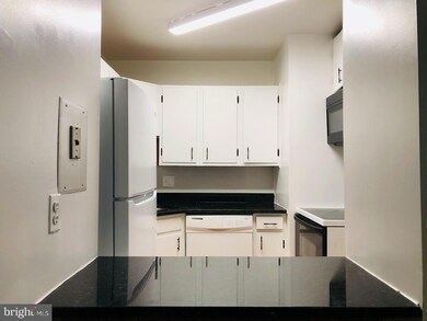 201 N Emory Dr unit 8, Sterling, VA 20164 - photo 7