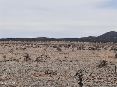Lot 1104 Rd, Seligman, AZ 86337 - photo 3
