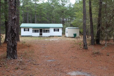 View from the driveway