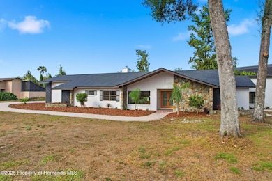 916 River Rapids Ave, Brandon, FL 33511 - photo 3