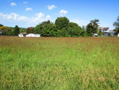 cherry tree lane (6)