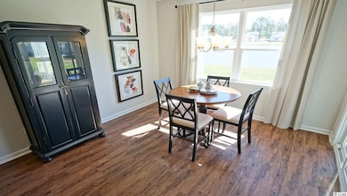 3210 Holly Loop unit Lot 152 - Aria J, Conway, SC 29527 - photo 4