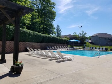 Pool 8