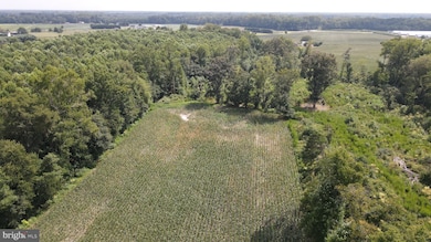 13.585 ac., Tract 1 Pepper Rd, Georgetown, DE 19947 - photo 2