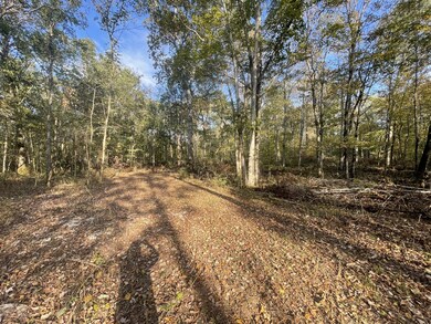 0 Ownby Rd, Lewisburg, TN 37091 - photo 3