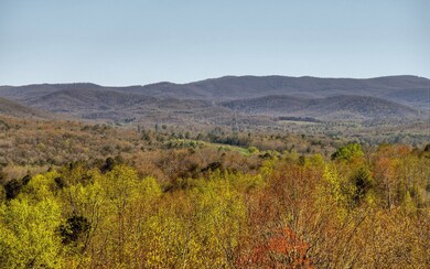 Additional View