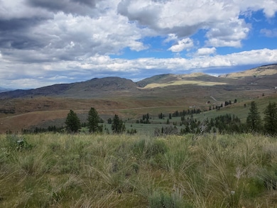 570X Tunk Creek Rd, Riverside, WA 98849 - photo 4