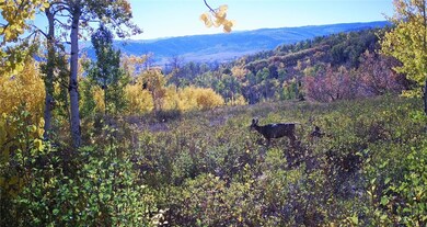 55966 Hannahs Way, Clark, CO 80428 - photo 4