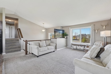 17749 311th Ct, Shafer, MN 55074 - photo 5