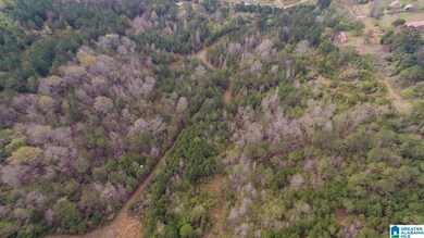 0 Armstrong Mountain Ln unit 21405929, Talladega, AL 35160 - photo 3