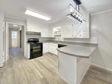 306 Magnolia Dr, Paragould, AR 72450 - photo 2