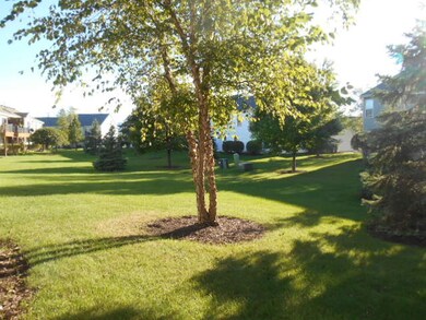 13826 S Bristlecone Ln unit A, Plainfield, IL 60544 - photo 5