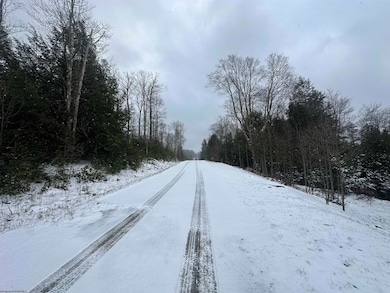 Lot 86 Gondola Ct, Davis, WV 26260 - photo 5