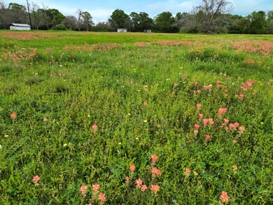 0 County Road 700 unit 67268539, Brazoria, TX 77422 - photo 6