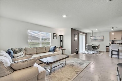 16673 Windmill Forge Pass, Wimauma, FL 33598 - photo 4