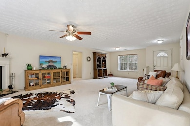 4542 Clear Creek Rd, Ellijay, GA 30536 - photo 6