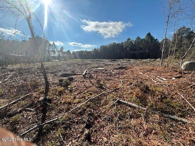 0 Crepe Myrtle unit 100543967, Wilson, NC 27896 - photo 3