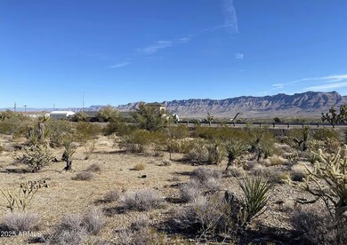 28915 N Pierce Ferry Rd, Meadview, AZ 86444 - photo 5