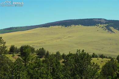 0 State Hwy unit 2777877, Guffey, CO 80820 - photo 5