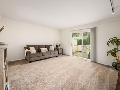 Living Room to Patio