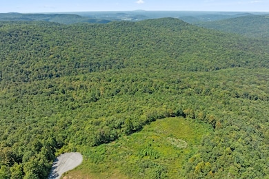 5 AC Mountain Crest Dr, Spencer, TN 38585 - photo 2