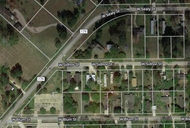 0 Blum St, Alvin, TX 77511 - photo 6