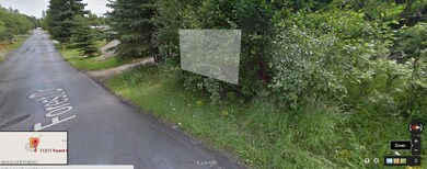 forest drive pic 2.png