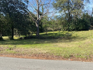 606 Oglethorpe Ave, Americus, GA 31709 - photo 3