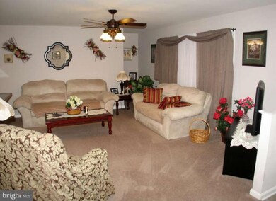 195 Three Mile Bank Ln, Edinburg, VA 22824 - photo 5