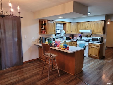 469 Main St, Radom, IL 62876 - photo 7