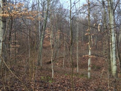 0 Twp. Rd. 248.3