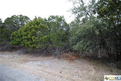 5110 Goliad Dr, Temple, TX 76502 - photo 2