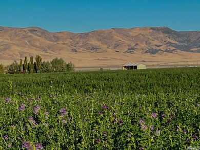 595 Innean Rd, Winnemucca, NV 89445 - photo 5